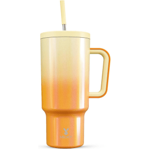 Stainless Steel Cold Travel Cup